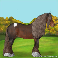 Horse Color:Liver Chestnut Varnish 