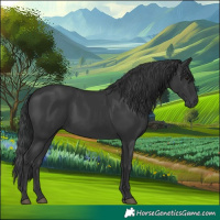 Horse Color:Black 