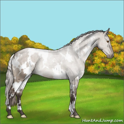 Horse Color:White Spotted Silver Brown Dun Mushroom 