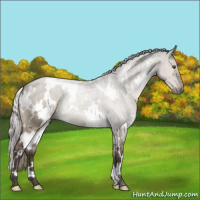 Horse Color:White Spotted Silver Brown Dun Mushroom 