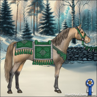 Horse Color:Buckskin Appaloosa 