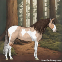 Horse Color:Brown Roan Dun Splash Tobiano Appaloosa 