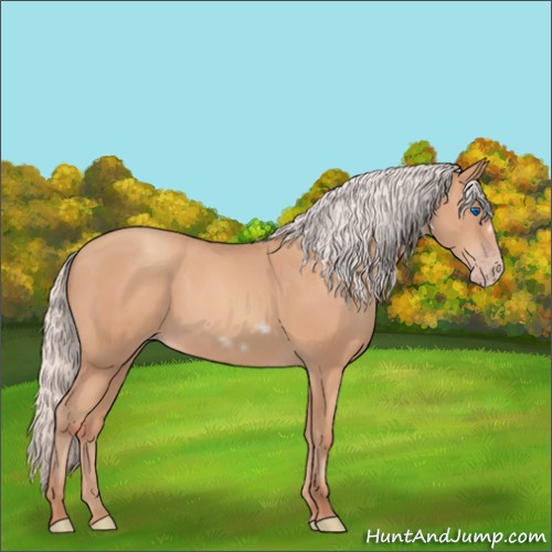 Horse Color:Silver Amber Champagne Frame 