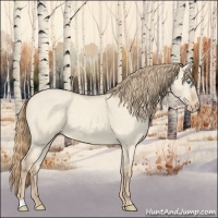 Horse Color:Perlino Dun 