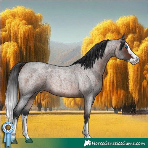 Horse Color:Brown Roan Sabino Splash 