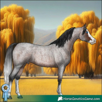 Horse Color:Brown Roan Sabino Splash
