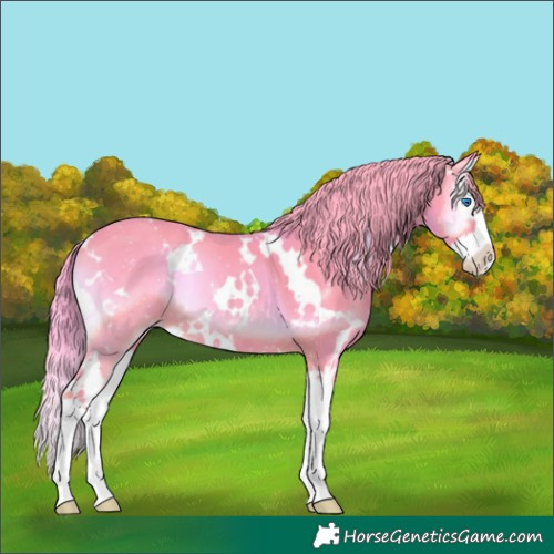 Horse Color:Watercolor White Spotted Liver Red Onyx Splash 