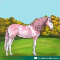 Horse Color:Watercolor White Spotted Liver Red Onyx Splash