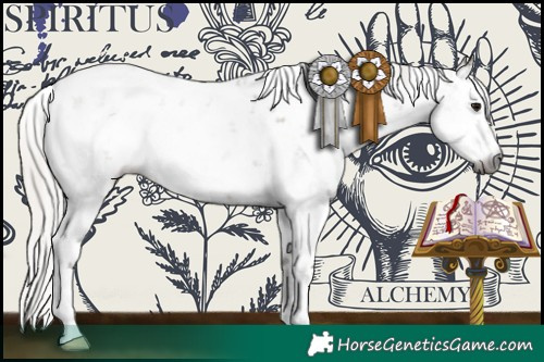 Horse Color:Gray White Spotted Silver Grullo Sabino Rabicano