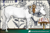 Horse Color:Gray White Spotted Silver Grullo Sabino Rabicano