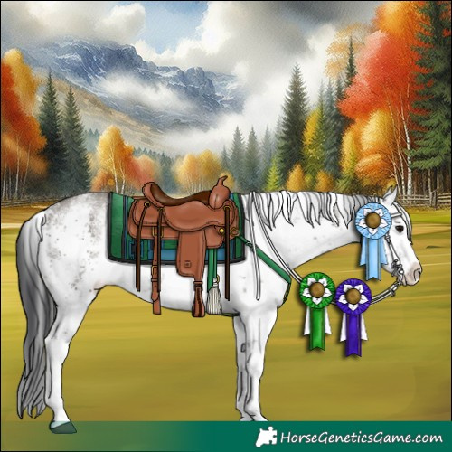 Horse Color:White Spotted Grullo Sabino