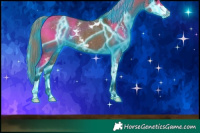 Horse Color:Thunderstruck Liver Red Dun Sabino Rabicano