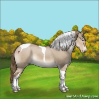 Horse Color:Liver Red Dun Tobiano 