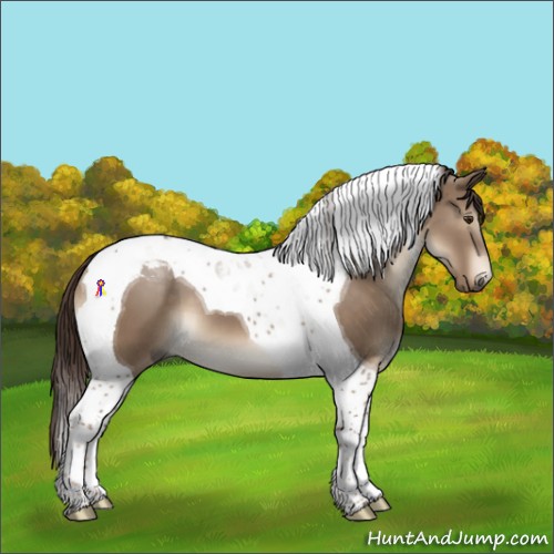 Horse Color:Liver Red Dun Tobiano
