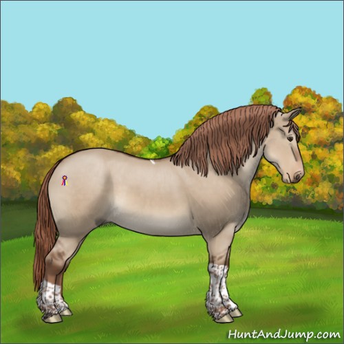 Horse Color:Liver Red Dun Tobiano