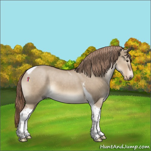 Horse Color:Liver Red Dun Tobiano 