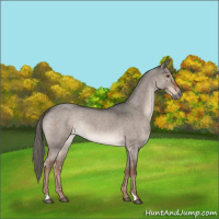 Horse Color:Liver Red Dun Roan Mushroom Rabicano 