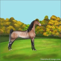 Horse Color:Brown Varnish Rabicano 