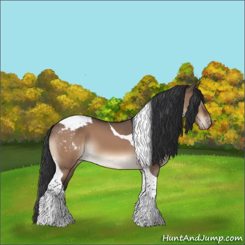 Horse Color:Brown Dun Tobiano Appaloosa 