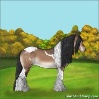 Horse Color:Brown Dun Tobiano Appaloosa 