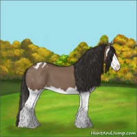 Horse Color:Liver Red Dun Splash Varnish 