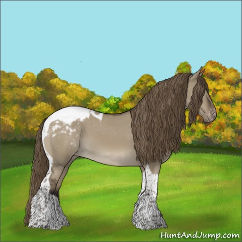 Horse Color:Smoky Grullo Tobiano Appaloosa 