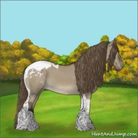Horse Color:Smoky Grullo Tobiano Appaloosa 