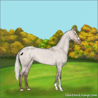 Horse Color:Liver Red Dun Roan Mushroom Varnish