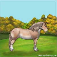 Horse Color:Gold Champagne 