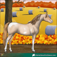 Horse Color:Red Roan Pearl Tobiano Frame 