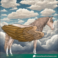 Horse Color:Gold Champagne Appaloosa 