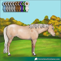 Horse Color:Silver Brown Pearl Dun
