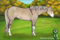 Horse Color:Silver Brown Dun Sabino 