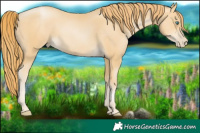 Horse Color:Smoky Black Pearl