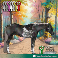 Horse Color:Platinum Midnight Liver Red Onyx Tobiano