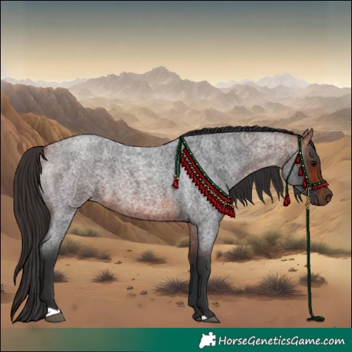 Horse Color:Bay Roan 