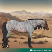 Horse Color:Bay Roan 