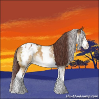 Horse Color:White Spotted Chocolate Buckskin Roan Dun Appaloosa 
