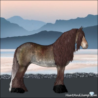 Horse Color:Void Chocolate Brown Roan Dun 