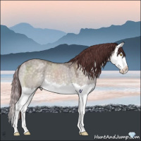 Horse Color:Platinum Chocolate Buckskin Roan Dun Splash 
