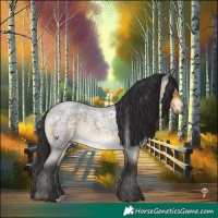 Horse Color:Buckskin Roan Mushroom Rabicano 