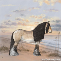 Horse Color:Buckskin Roan Dun Mushroom Tobiano Rabicano 