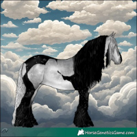 Horse Color:Void Silver Brown Chinchilla Dun Tobiano 
