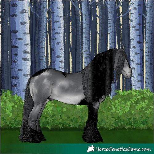 Horse Color:Void Black Chinchilla Tobiano 