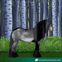 Horse Color:Void Black Chinchilla Tobiano