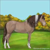 Horse Color:Classic Champagne Tobiano 
