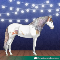 Horse Color:Nacre White Spotted Chestnut Splash Tobiano