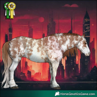 Horse Color:Chestnut Sabino Varnish 