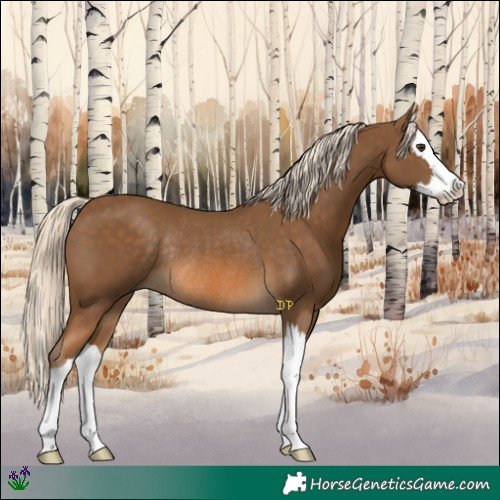 Horse Color:Chocolate Palomino Splash Rabicano 