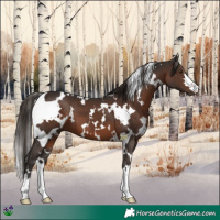 Horse Color:White Spotted Liver Chestnut 